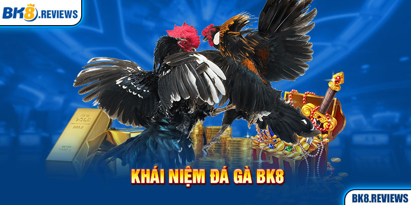 Khái niệm đá gà BK8